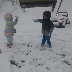 Meet your Posher, Tabby